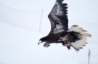 , Womens slalom world cup 2012 - Courchevel Enquirer